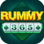 RUMMY 365